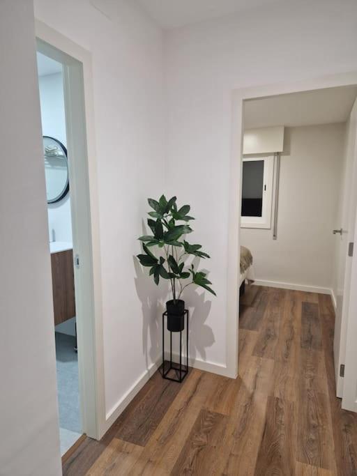 Apartamento Atico Cork Vigo Exterior foto